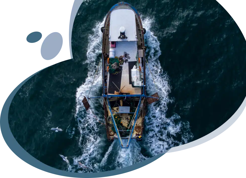 Commercial Fishing