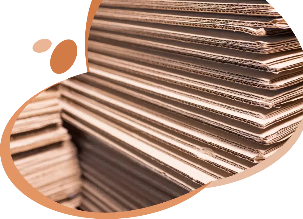 Corrugated Cardboard